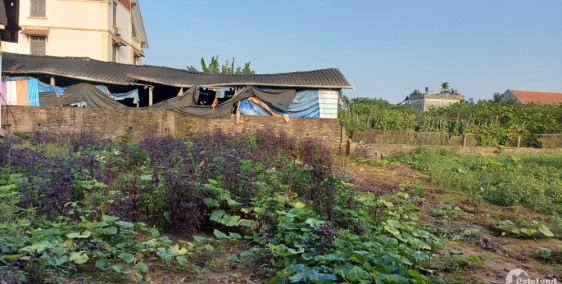 Hiếm! Lô góc, ô tô tránh, bán 520m2 đất Đông Tảo_Khoái Châu_chỉ có 15tr/m2