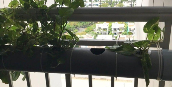 Bán căn hộ The Eastern mặt tiền đường Liên Phường