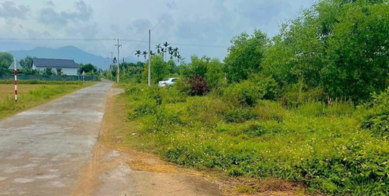 Ban Đất Giá Rẻ Diên Thọ Diên Khánh 80,6m2 Full Thổ Cư