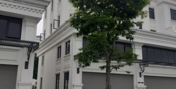 Shophouse 156m2 xẻ khe, mặt tiền 8m đường 30m, chấp nhận giá thấp hơn thị trường