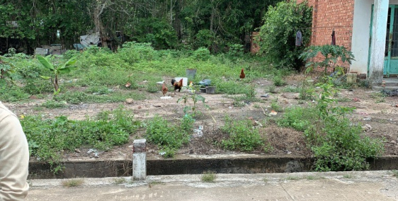 chính chủ gửi em bán lô đất xã minh hòa dt 8,5x24x100tc giá chỉ 960tr