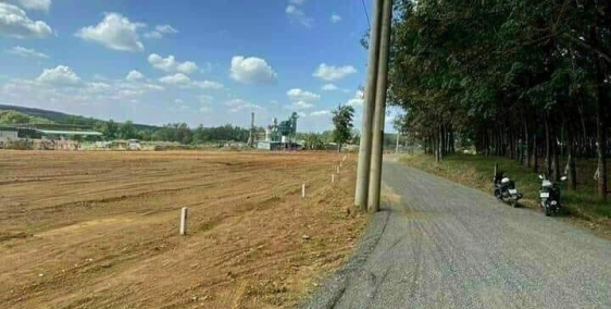 Đất chính chủ TT Đồng Xoài 12x100x100TC chỉ 490 Tr bán gấp trong tuần