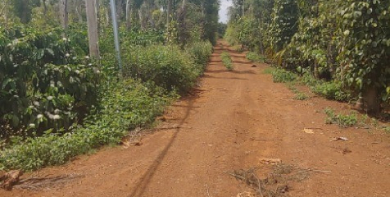 Bán 2 sào đất Hòa Thuận song song đường 25B, tp Buôn Ma Thuột.