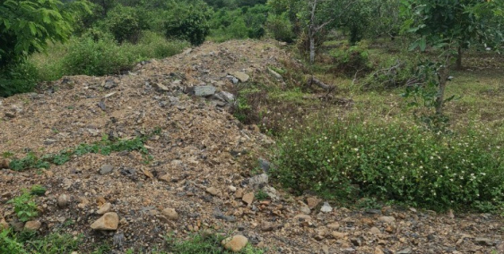 2 hecta đất Rẫy Nông Nghiệp sang nhượng lại cho chủ mới