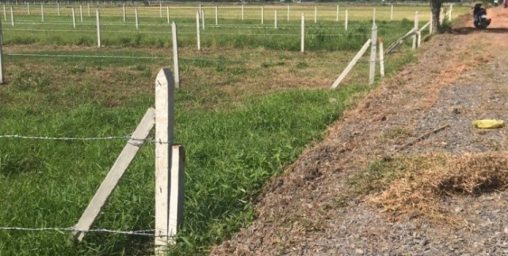 CẦN TIỀN LÀM ĂN NÊN CẦN BÁN GẤP LÔ ĐẤT Ở ĐƯỜNG NGUYỄN THỊ RÀNH XÃ NHUẬN ĐỨC