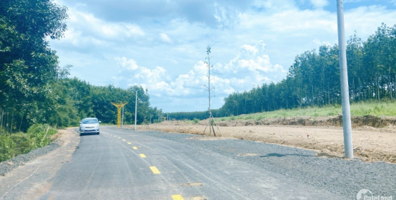 Cần bán gấp lô đất ngay mặt tiền ql 14.