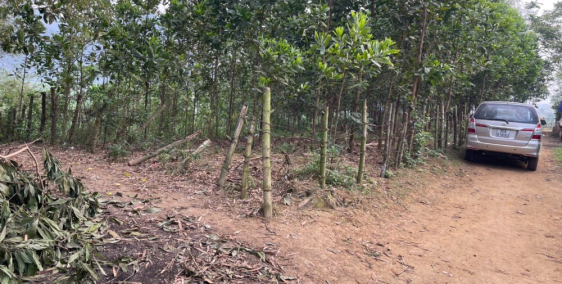 Bán đất nghỉ dưỡng Hoà Bình Kim Bôi 1529m2 cạnh dự án SUNGROUP.Giá 2 tỷ