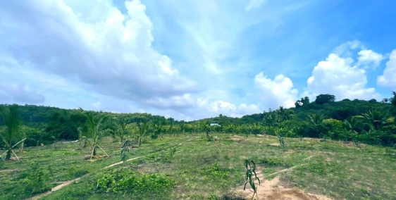 Chính chủ bán đất cách QL20 và Trung Tâm Thị Trấn Định Quán 1,5km