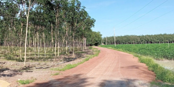 Em còn lô đất 26 x 50 tại Đồng Phú, Bình Phước giá rẻ nhất huyện