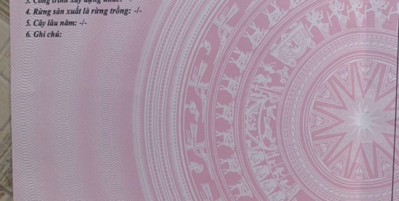 Bán Lô Đất Siêu Vip 3 Mặt Tiền Tại Phú Đông, Nhơn Trạch, Đồng Nai- Mua Được Là T