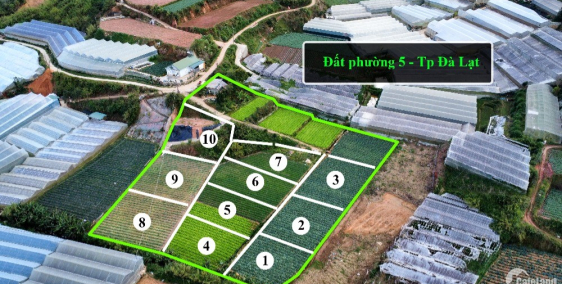 4tr/m2 Đất nông nghiệp Phường 5 - Tp. Đà Lạt