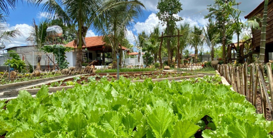 Bán Nhà Vườn Nghỉ Dưỡng 1 sào tại phường Khánh Xuân - Buôn Mê Thuột