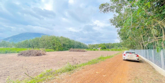 Hàng hot 7 nền đất sổ hồng ngay Hồ Dầu Tiếng DMC Tây Ninh chỉ 630tr