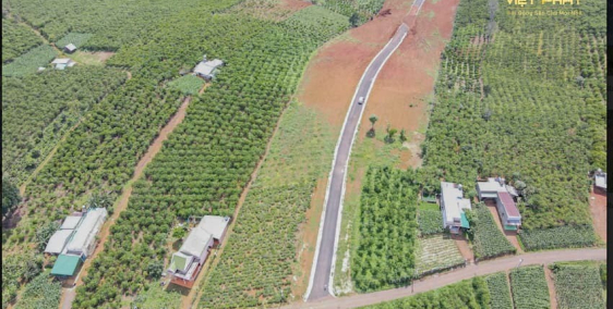 Tiềm năng đất nghỉ dưỡng ở Bảo Lộc còn phát triển, cơ hội đầu tư tốt lúc này