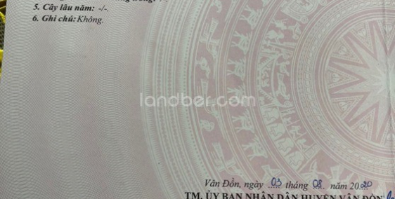 Bán đất Thôn Tràng Hương Khu kinh tế Vân Đồn