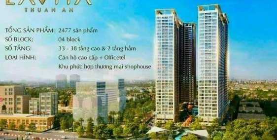 Lavita Thuận An- Hạ tầng hoàn thiện mở rộng 8 làn xe