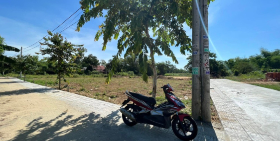 Điện Trung - Điện Bàn Chỉ 539 triệu sở hữu ngay lô góc 2MT