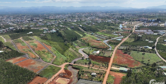 Đất nền Bảo Lộc- Khu biệt thự Bảo Lộc Pearl Mở bán đợt 1 chỉ từ 2x triệu/m2