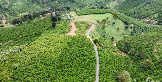 Đất full thổ cư 5x29 Lộc An Bảo Lộc Lâm Đồng giá bán 1ty485 có thương lượng