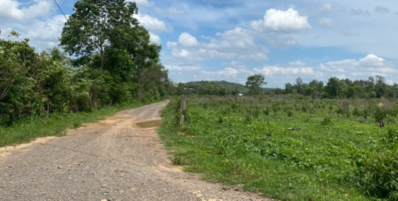 2000m2 đất vườn gần nút giao cao tốc Dầu Giây -Phan Thiết chỉ 900tr/1000m2