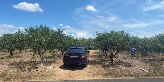 Bán đất vườn gần ngay suối nước nóng Bình Châu, Xuyên Mộc, BRVT giá chỉ 2,5tr/m2