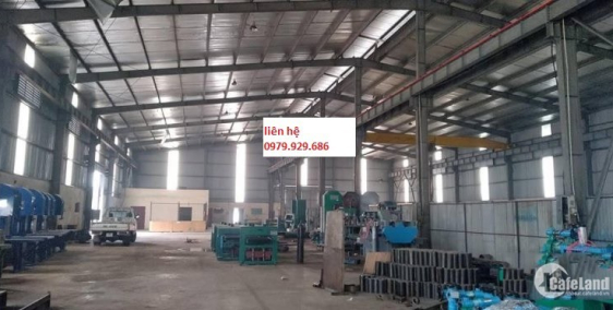 Cần cho thuê kho xưởng DT 1300m2 Cổ Loa, Đông Anh, Hà Nội