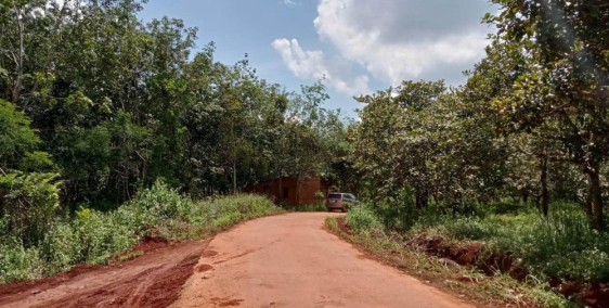 Đất nền thổ cư Nghĩa Bình, Bù Đăng, Bình Phước