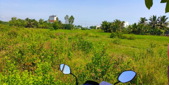 CẦN BÁN GẤP đất tuyến tránh Cần Đước ,DT183m2