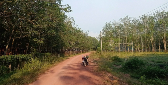 Đất Dầu Tiếng xã Minh Hòa, giáp suối, thích hợp làm nhà vườn, 628m2 sẵn 100tc