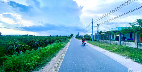 148M2 - MT Nhựa Hàm Liêm -Trung Thành Nam - Cách KDC Rạng Đông 500M