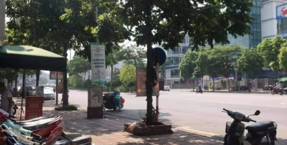 Đẳng Cấp Là Mãi Mãi, Phố Ô Chợ Dừa 65M2, 5 Tầng, MT: 5.5M, Giá 33.5 Tỷ.