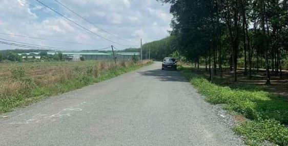 Nhà cần tiền cho em mình đi du học bán gấp miếng đất