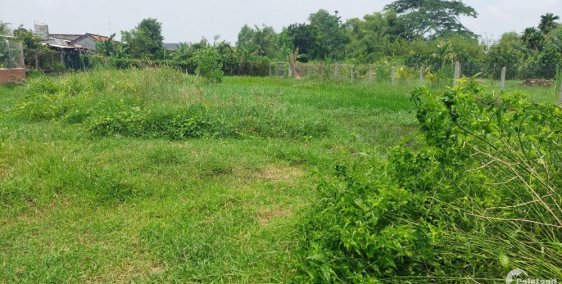 Đất Full thổ cư giá rẻ tại đường Trung Lập, Xã Trung Lập Thượng, Huyện Củ Chi.