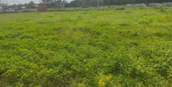 Bảo Vinh, giá tốt, tiện ích đầy đủ, liên hệ trực tiếp để được tư vấn.