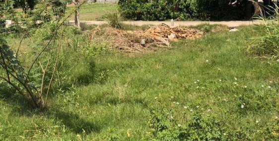 Bán nhanh 2 lô LK KCN Đắc Lộc- Vĩnh Phương