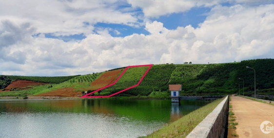 Chủ bị siết nợ  nên cần ra nhanh đất giáp hồ Dak Long Thượng cam kết rẻ nhất