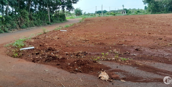 Bán Đất biệt thự nhà vườn xã Long Phước, với mức giá vô cùng hấp dẫn 2ty750