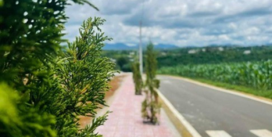 Làng sinh thái nghỉ dưỡng KIZUKI VILLAGE - ngôi nhà thứ hai cho bạn