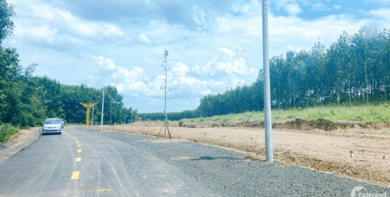 Cần ra gấp lô đất ngay mặt tiền đường ql14, giá đầu tư f0, sô riêng, thổ cư.