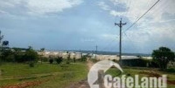 3012m2 xã Hòa Thắng 753tr, gần DT716, có đường trên sổ, sổ sẵn