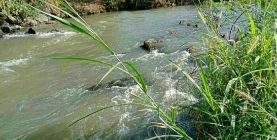 Bán Đất Nhà Ở Gần KCN becamex 6300 hecta diện Tích 1000m2/400Tr