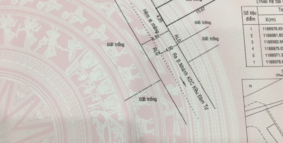 Cần bán gấp lô đất KDC Kiều Đàm hẻm 793 Trần Xuân Soạn, Tân Hưng Quận 7