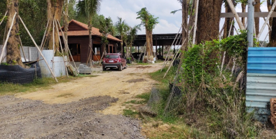 Chính chủ cần bán đất sào QH ODT tại TT Đất Đỏ