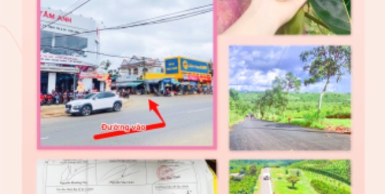 Đất thổ cư 100m2 Lộc An - Bảo Lâm - Lâm Đồng