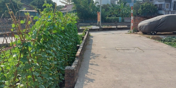 Bán gấp đất chia lô, sổ đỏ chính chủ