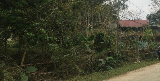 ĐẤT Ở ĐÔ THỊ thổ cư 100% tại thị trấn Lang Chánh