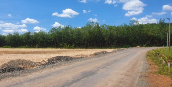 Chính chủ cần bán gấp lô đất để về quê