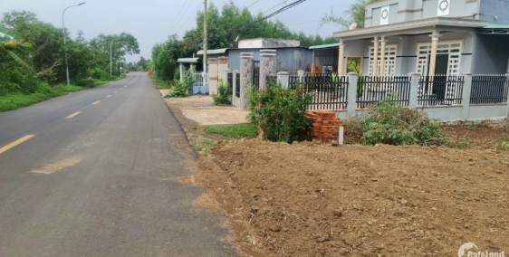 Chính chủ bệnh nặng cần tiền chữa bệnh nên bán gấp miếng đất