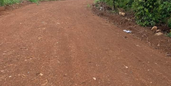 bán 1ha rẫy cà phê view suối thôn 8 cư bua thành phố buôn ma thuột