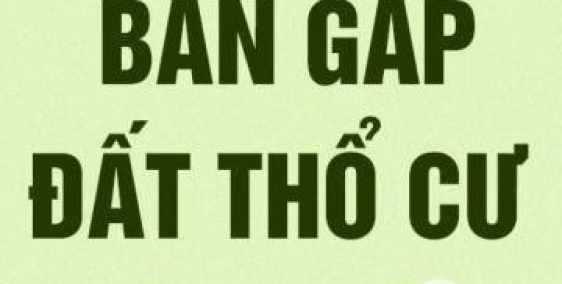 Đất mặt tiền đường Quận 9_full thổ cư_ giá từ 2tỷ8